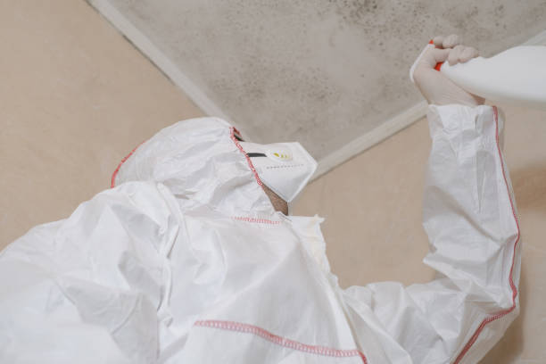 Mold Odor Removal Services in Lincoln City, OR